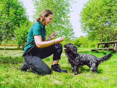 Training tips & advice