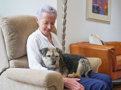 Ten tips to make your home dog-friendly