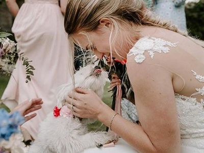 How to plan a dog-friendly wedding