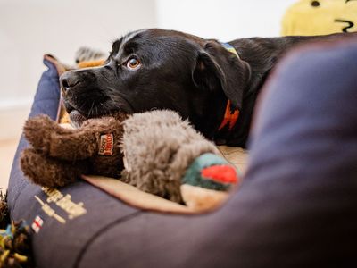 Donate pre-loved items