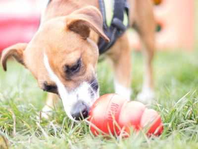 The five forms of enrichment