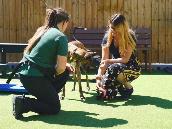 rehoming outside darlington