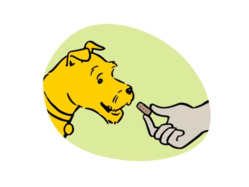 Illustration of owner giving dog treat, close up. 