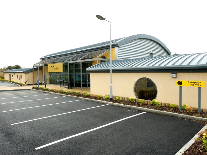 Outside the Dublin Rehoming Centre